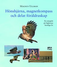 H�nshj�rna, magnetkompass och delat f�r�ldraskap