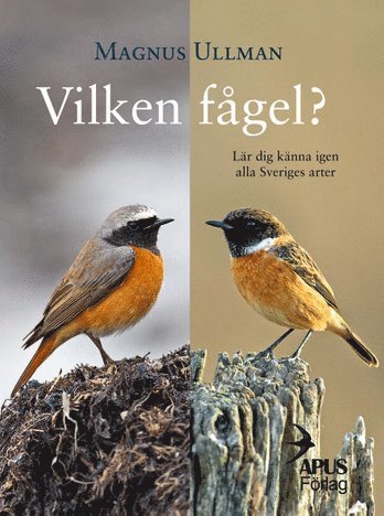 Magnus Ullman - Vilken fågel? Lär dig känna igen alla Sveriges arter, Häftad