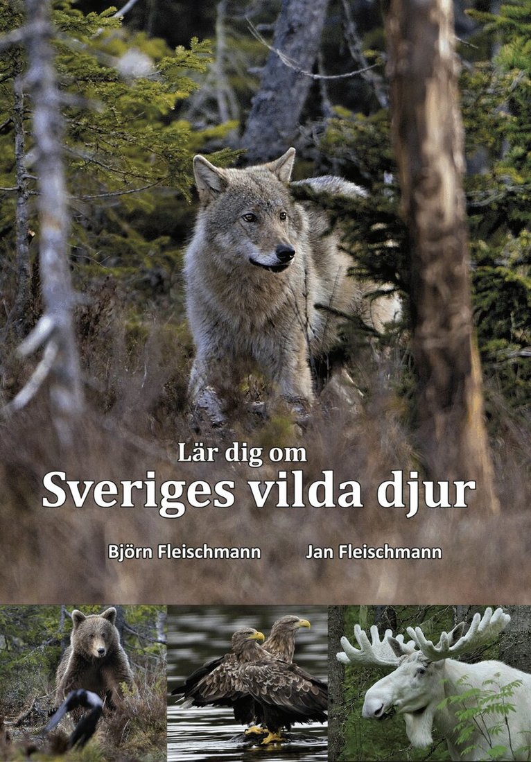 Björn Fleischmann, Jan Fleischmann - Lär dig om Sveriges vilda djur, Häftad
