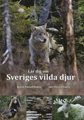 Lär dig om Sveriges vilda djur