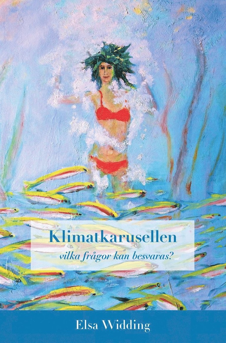 Elsa Widding - Klimatkarusellen : vilka frågor kan besvaras?, E-bok