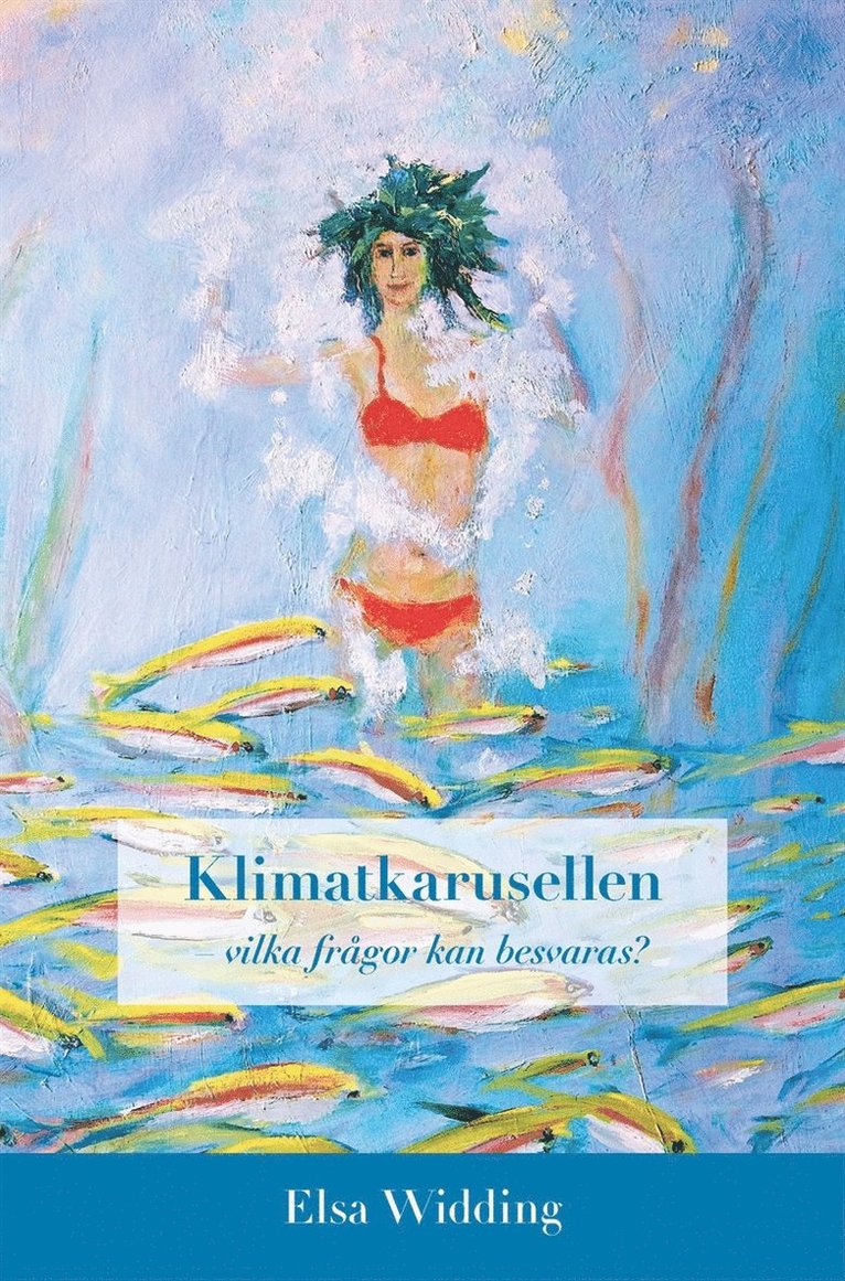 Elsa Widding - Klimatkarusellen - vilka frågor kan besvaras?, E-bok