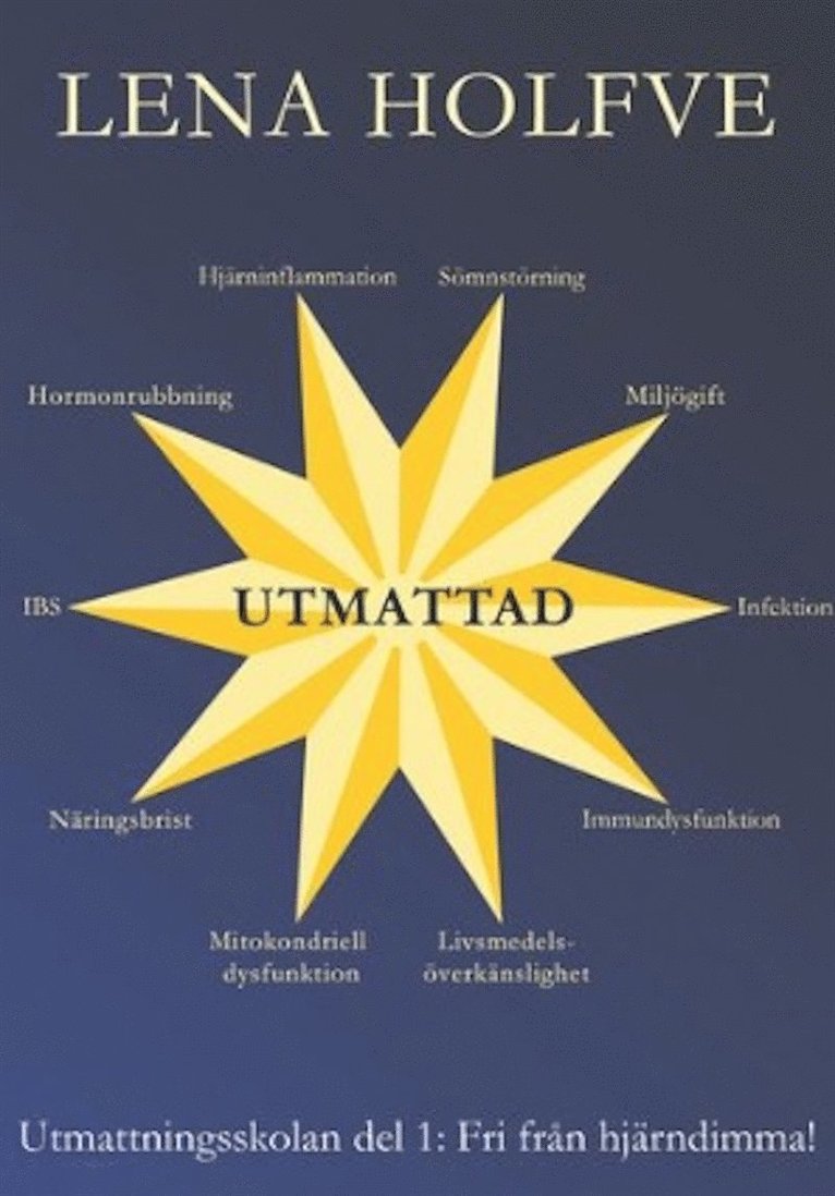 Lena Holfve - Utmattad - Fri från hjärndimma, Ljudbok