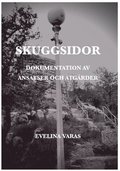 Skuggsidor : dokumentation av ansatser och tgrder