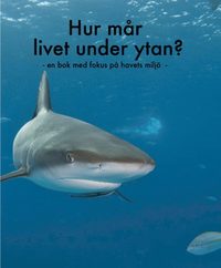 Hur mr livet under ytan? : en bok med fokus p havets milj