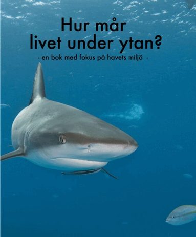 Klas Malmberg, Annika Malmberg, Nellie Malmberg - Hur mår livet under ytan? : en bok med fokus på havets miljö, Inbunden