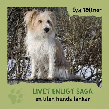 Eva Töllner - Livet enligt Saga : en liten hunds tankar, Inbunden