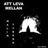 Malin Tyberg - Att leva mellan, E-bok