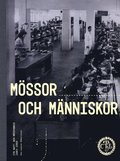 Mössor och människor : CTH Hatt och mössfabrik 1885-2004