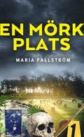 En mrk plats
