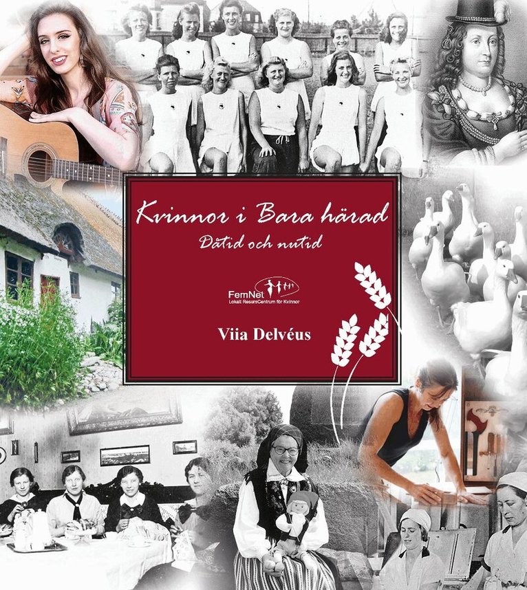 Viia Delvéus - Kvinnor i Bara härad : dåtid och nutid, Häftad
