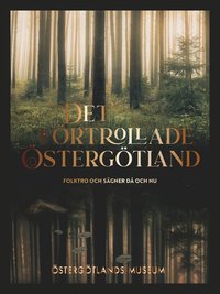 Det frtrollade stergtland : folktro och sgner d och nu