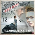 Flammor i natten