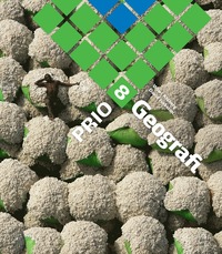 PRIO 8 Geografi