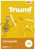 Matte Direkt Triumf 1B Lrarguide