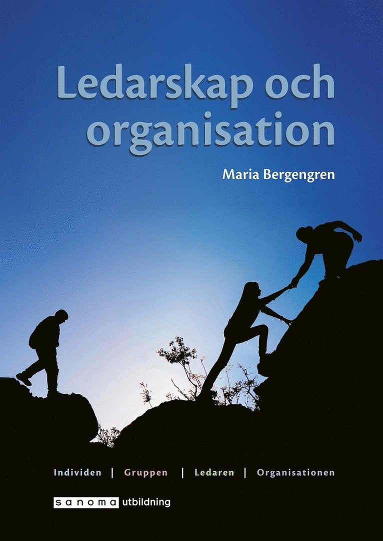 Maria Bergengren - Ledarskap och organisation, E-bok