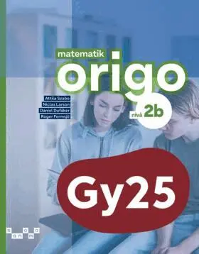 Attila Szabo, Niclas Larson, Daniel Dufåker, Roger Fermsjö - Matematik Origo nivå 2b, Häftad