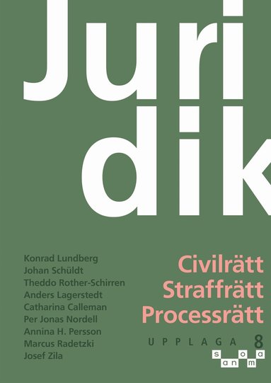 Marcus Radetzki, Konrad Lundberg, Johan Schüldt, Theddo Rother-Schirren, Anders Lagerstedt, Catharina Calleman, Per Jonas Nordell, Annina H. Persson, Josef Zila - Juridik, civilrätt, straffrätt, processrätt, E-bok