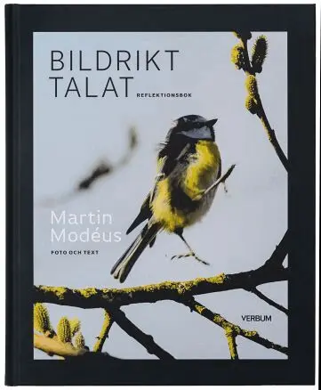 Martin Modéus - Bildrikt talat : reflektionsbok, Inbunden