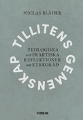 Tillitens gemenskap : teologiska och praktiska reflektioner om kyrkor�d