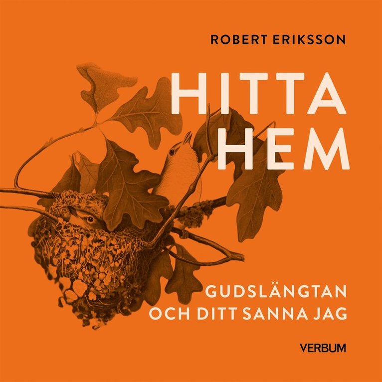 Robert Eriksson - Hitta hem : Gudslängtan och ditt sanna jag, Ljudbok