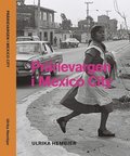 Prärievargen i Mexico City