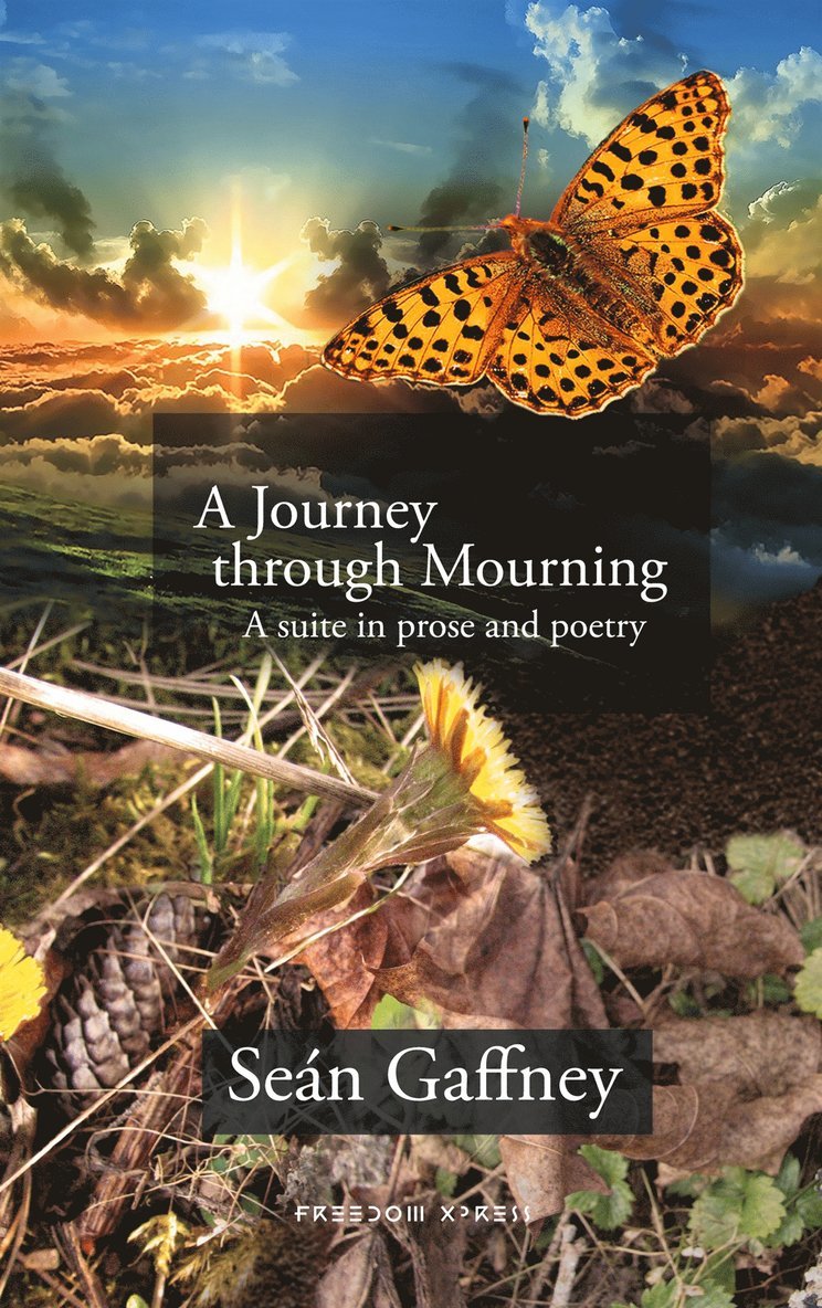 Seán Gaffney, Freedom Xpress / Lars Berg Egenart - A Journey through Mourning: A suite in prose and poetry, E-bok