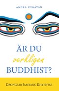 �r du verkligen buddhist?