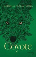 Coyote