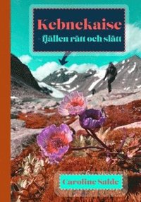 Kebnekaise : fjllen rtt och sltt