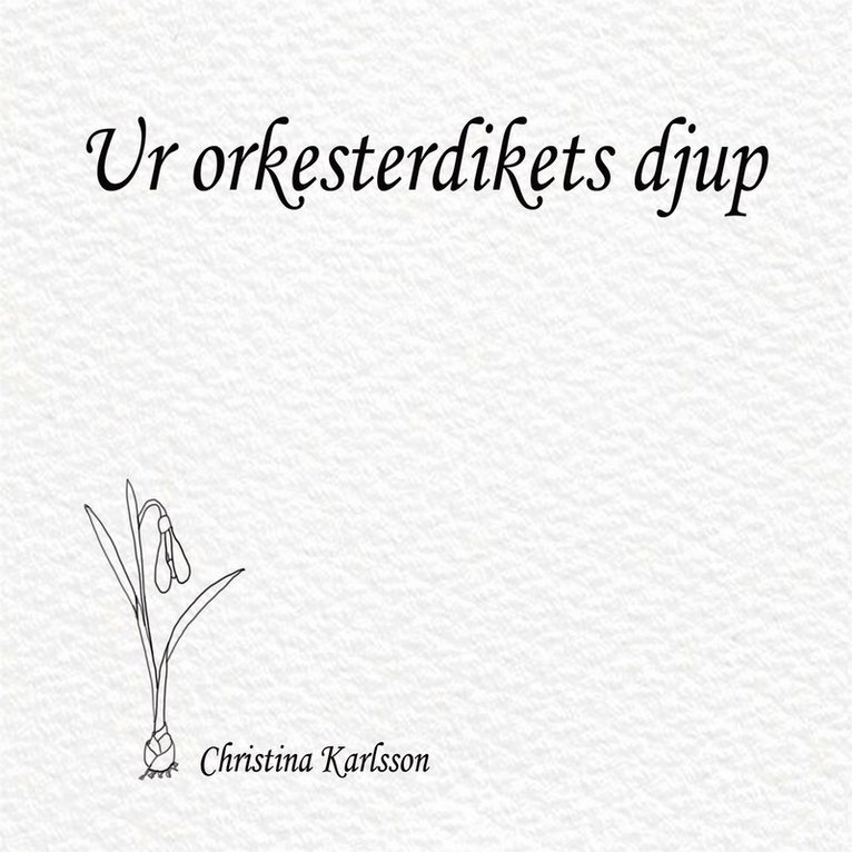 Christina Karlsson - Ur orkesterdikets djup, E-bok