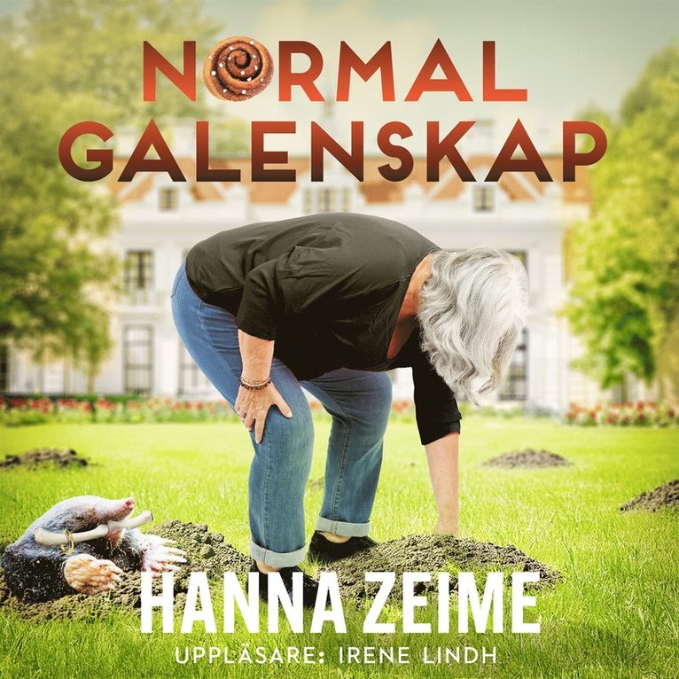 Hanna Zeime - Normal galenskap, Ljudbok