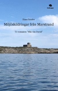 Miljskildringar frn Marstrand : ur romanen "Min vn David"