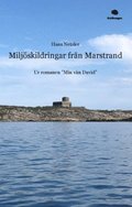 Miljskildringar frn Marstrand : ur romanen "Min vn David"