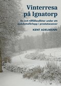 Vinterresa på Ignatorp : en svit tillfällesdikter under ett sjukdomsförlopp i prostatacancer