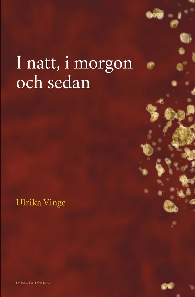 Ulrika Vinge - I natt, i morgon och sedan, Inbunden