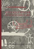 Hllristningar och hllristare : stergtland under ldre bronslder