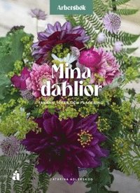 Mina dahlior : En arbetsbok för tankar, idéer och planering.