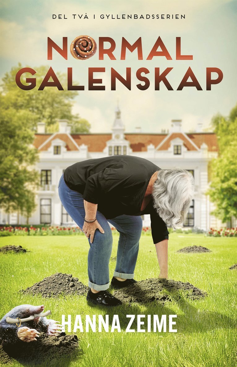 Hanna Zeime - Normal galenskap, E-bok