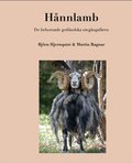 H�nnlamb : de behornade gotl�ndska uteg�ngsf�ren
