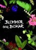 Kenneth Lorentzon, Bengt Persson, Rolf Ginstmark, Barbara Johnson, Stefan Nilsson, Eric Wahlsteen, Ingrid Kristensson, Irene Bengtsson - Blommor och Buskar, E-bok
