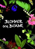 Blommor och Buskar