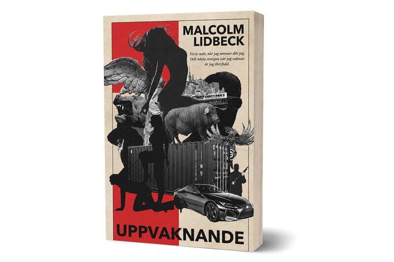 Malcolm Lidbeck - Uppvaknande, Häftad