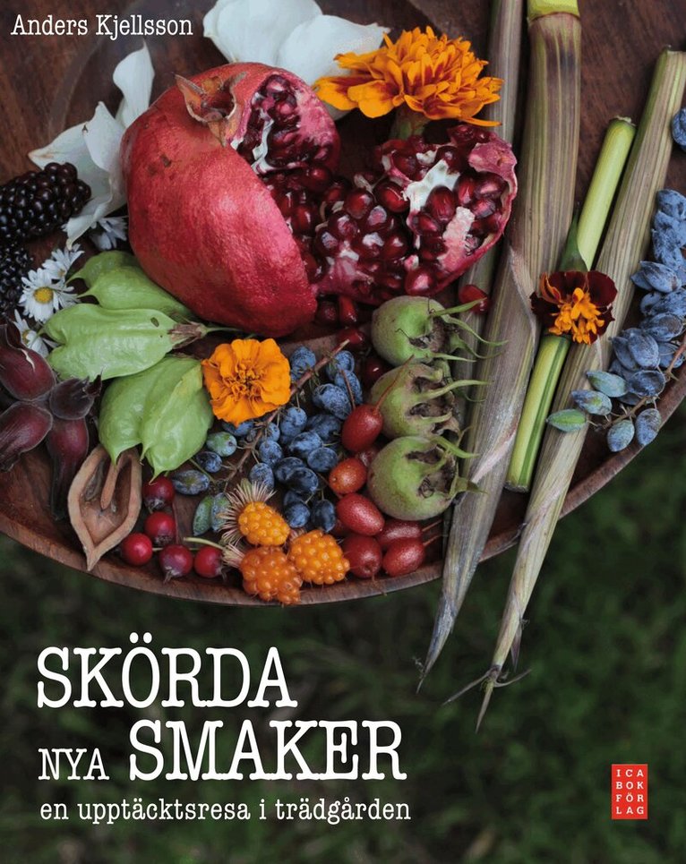 Anders Kjellsson - Skörda nya smaker : en upptäcktsresa i trädgården, Inbunden