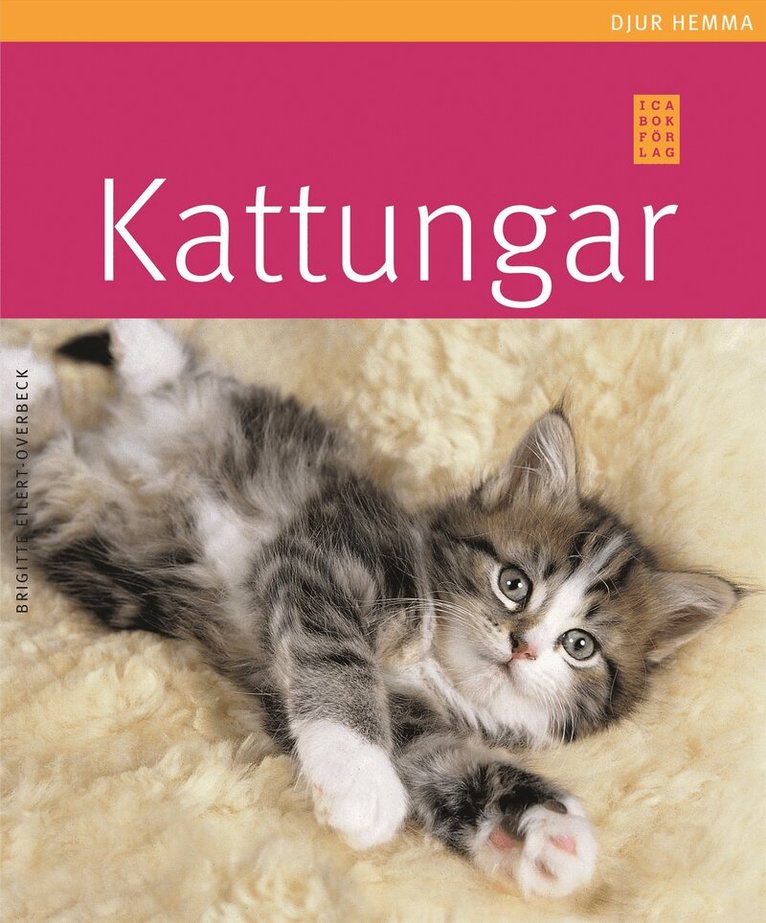 Brigitte Eilert-Overbeck - Kattungar, Häftad