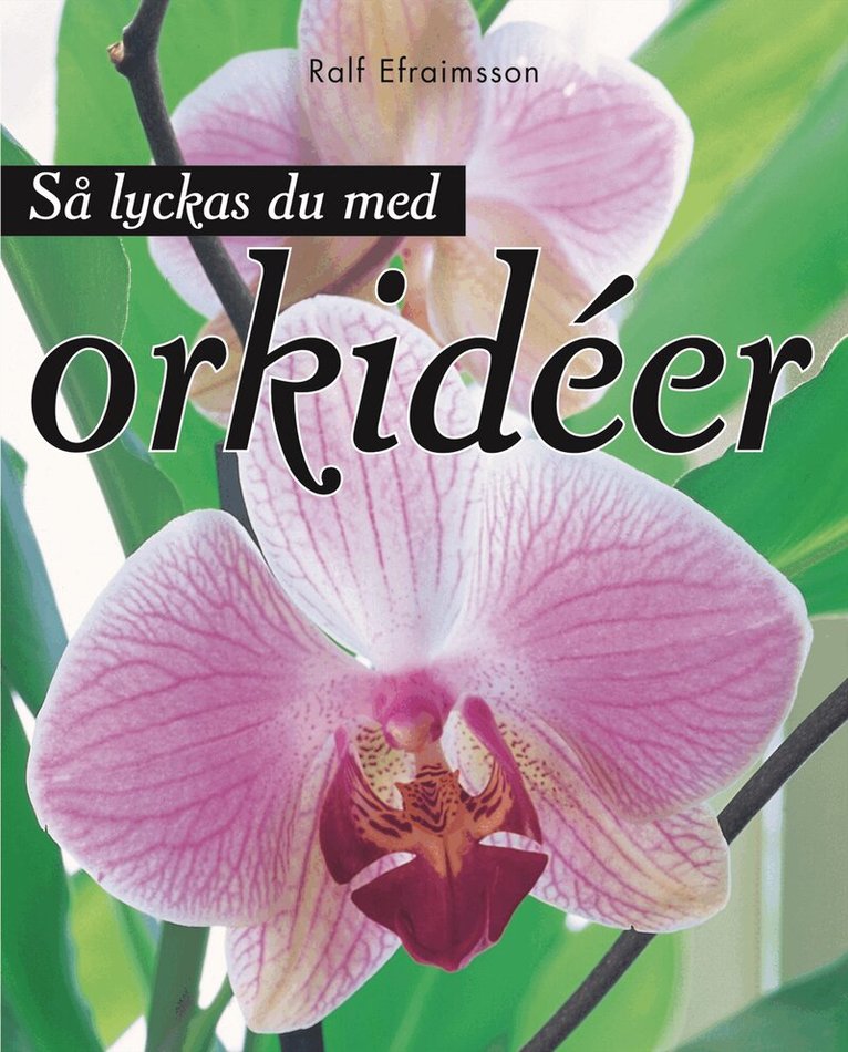 Ralf Efraimsson - Så lyckas du med orkidéer, Inbunden