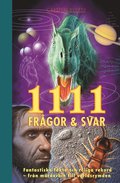 1111 frgor & svar