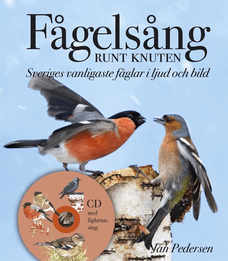 Jan Pedersen - Fågelsång runt knuten : Sveriges vanligaste fåglar i ljud och bild, Inbunden