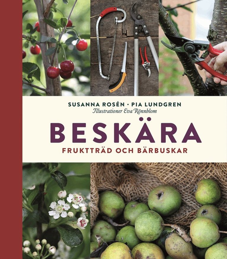 Susanna Rosén, Pia Lundgren - Beskära : fruktträd och bärbuskar, Inbunden