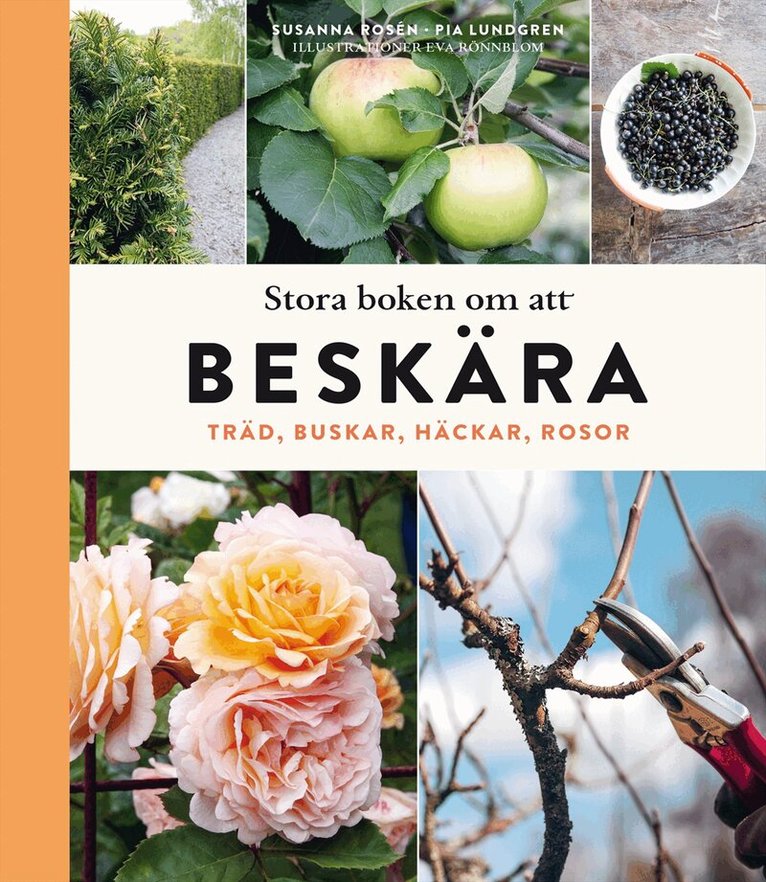 Susanna Rosén, Pia Lundgren - Stora boken om att beskära : träd, buskar, häckar och rosor, Inbunden